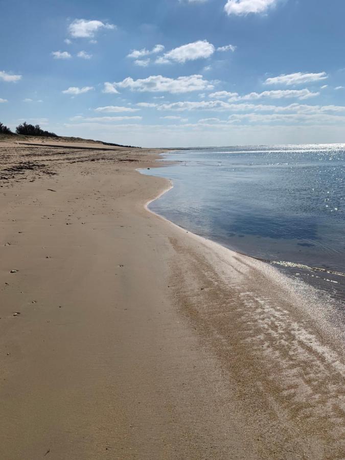 Maisonnette avec Piscine: Cozy Beachside Retreat Saint-Georges-d'Oleron Exterior photo